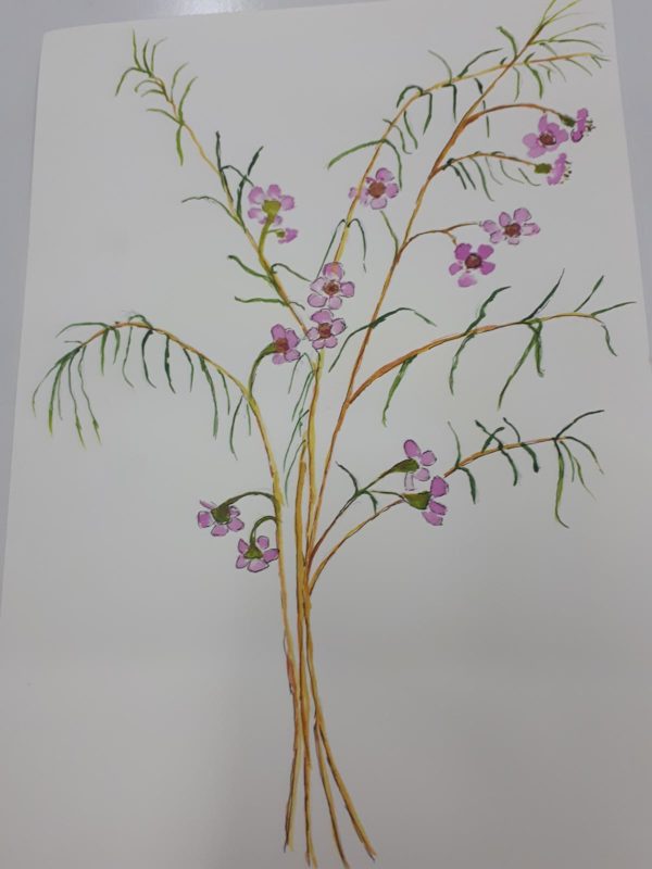 Drawing of pink flowers on white paper