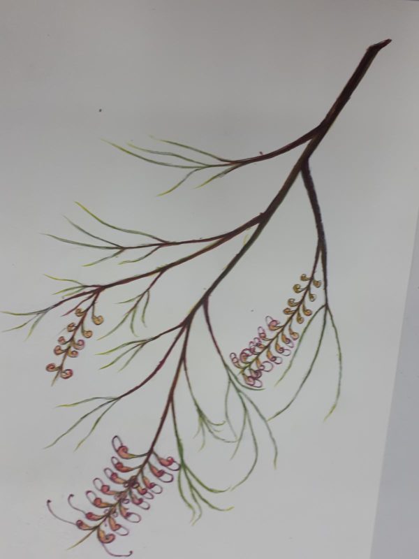 Drawing of flowers on white paper