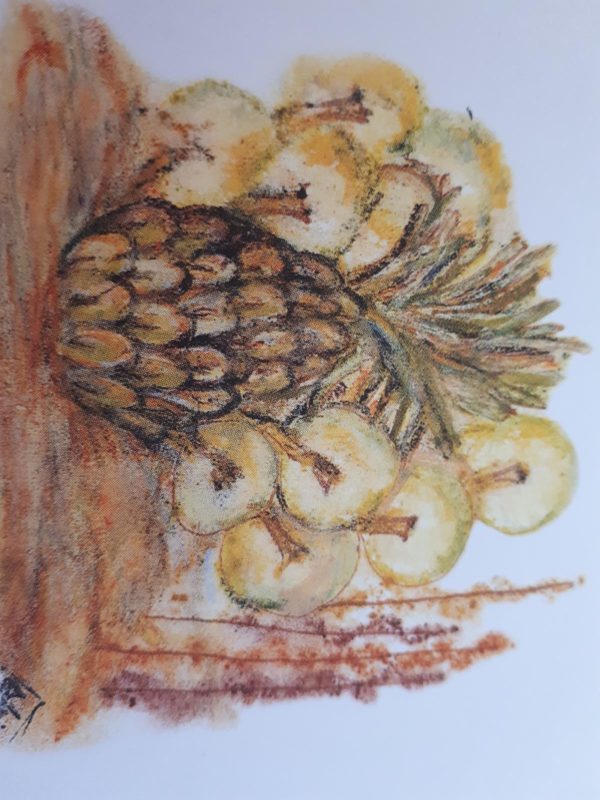 Painting of a pineapple