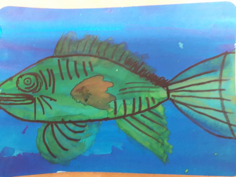 Watercolour painting of a fish